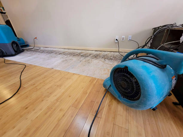 Professional Sewage Cleanup technician working in Pulaski, MS